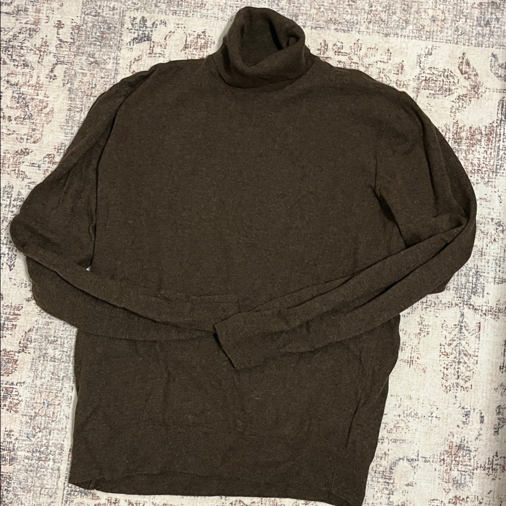 Zara Brown Turtleneck Sweater